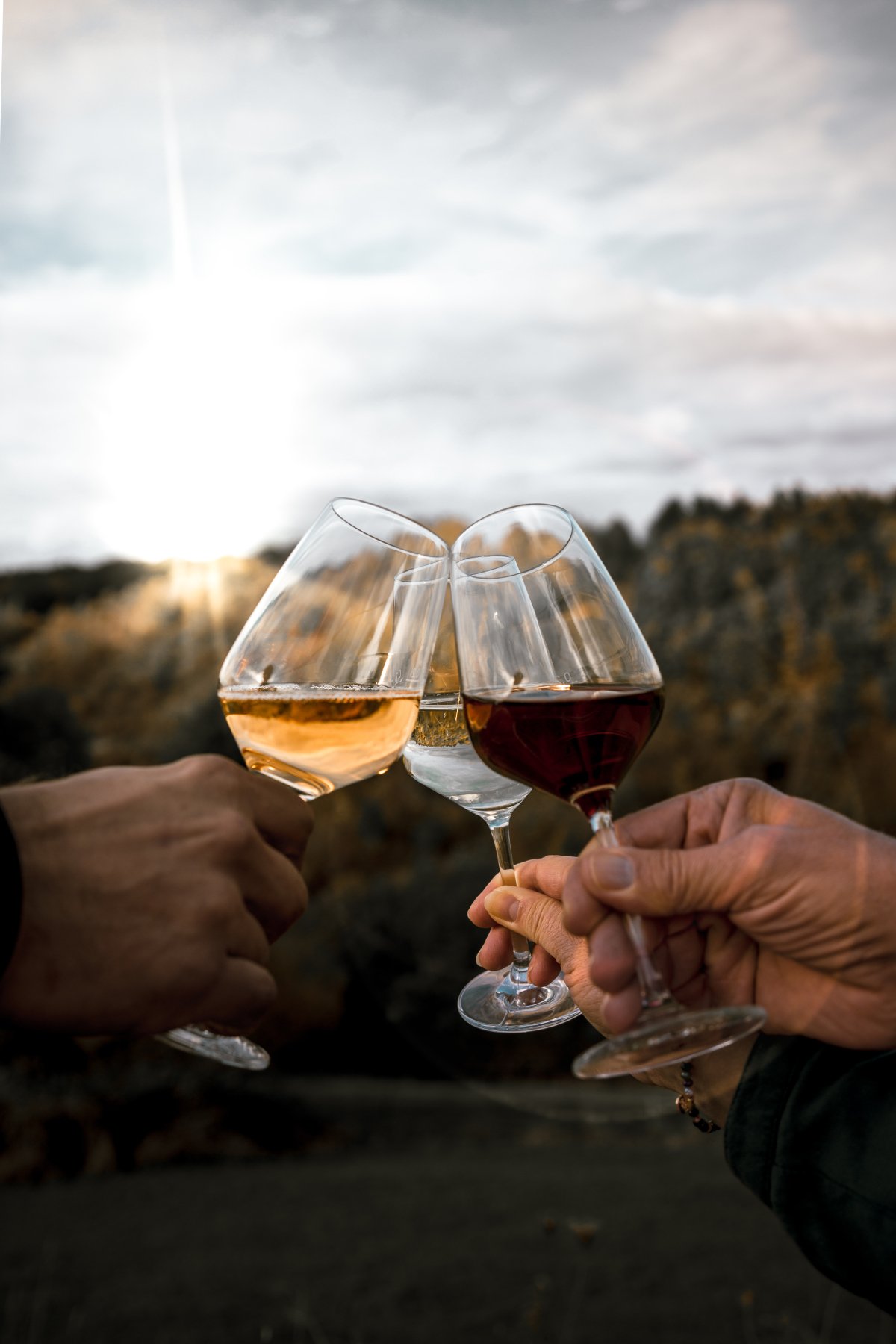 Weinpanscher 18.10.25__DSC3733.jpg