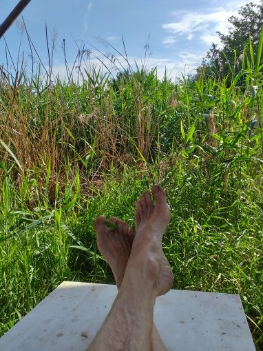 Chillen im Dschungel