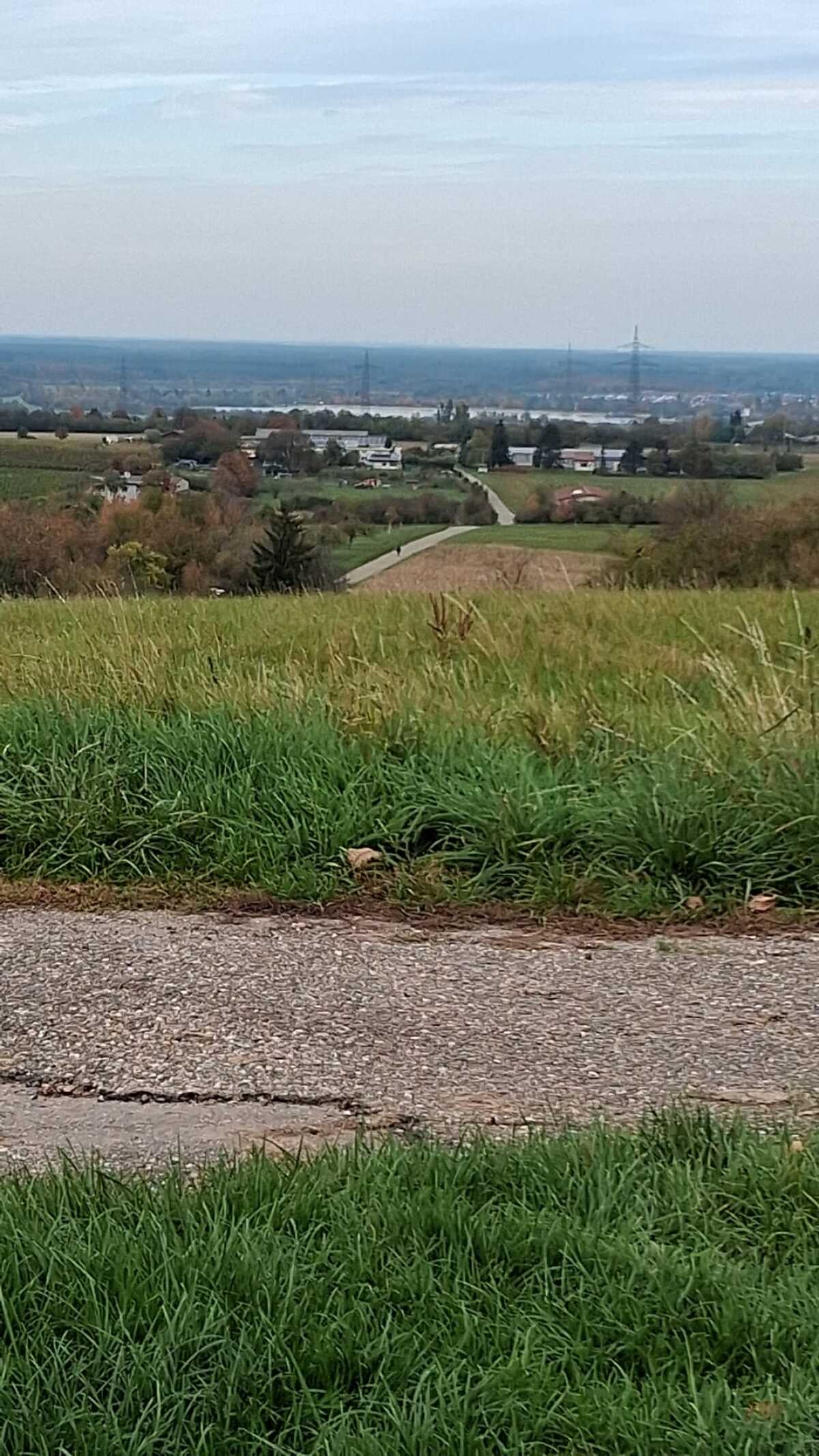 Ausblick Richtung Hardsee.jpeg