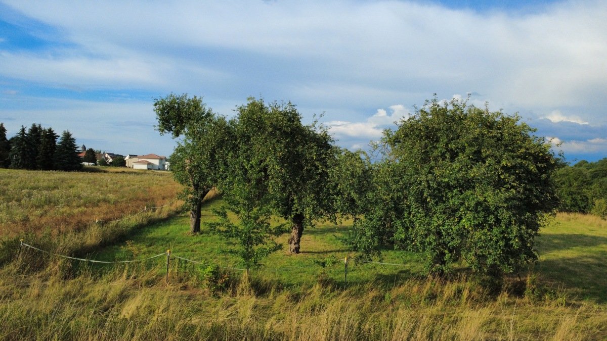 Bild vom Ende des Gartens