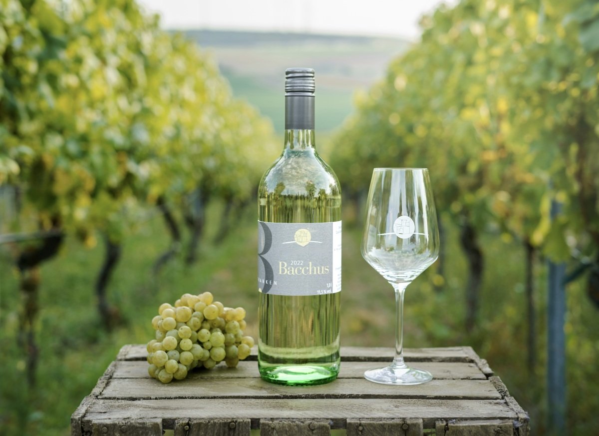 Weinbau-Mauder-Martin-Morgenweck-Fotografie-56