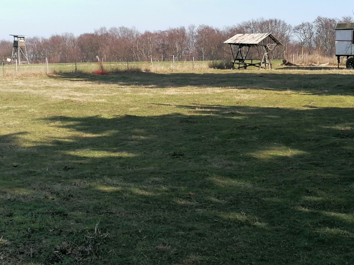 IMG_20260307_112842 (Groß).jpg