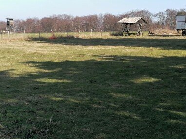 auch ein schattiges Plätzchen wählbar