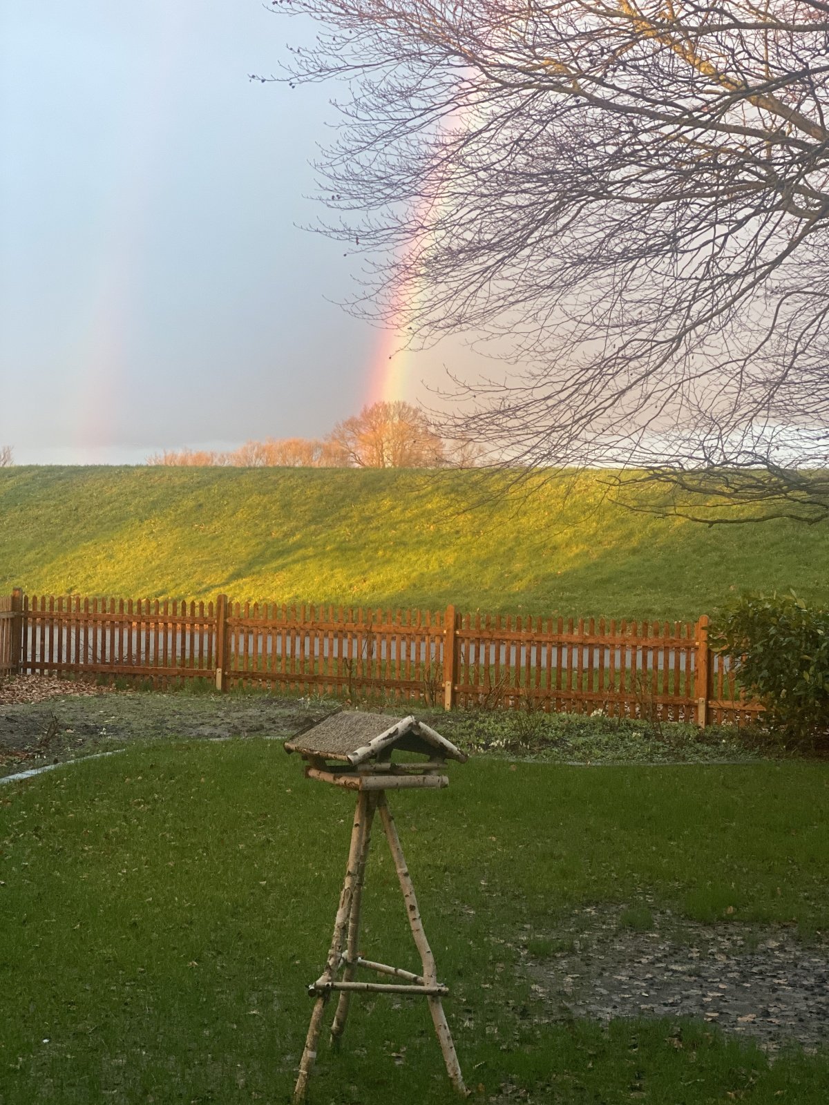 Regenbogen