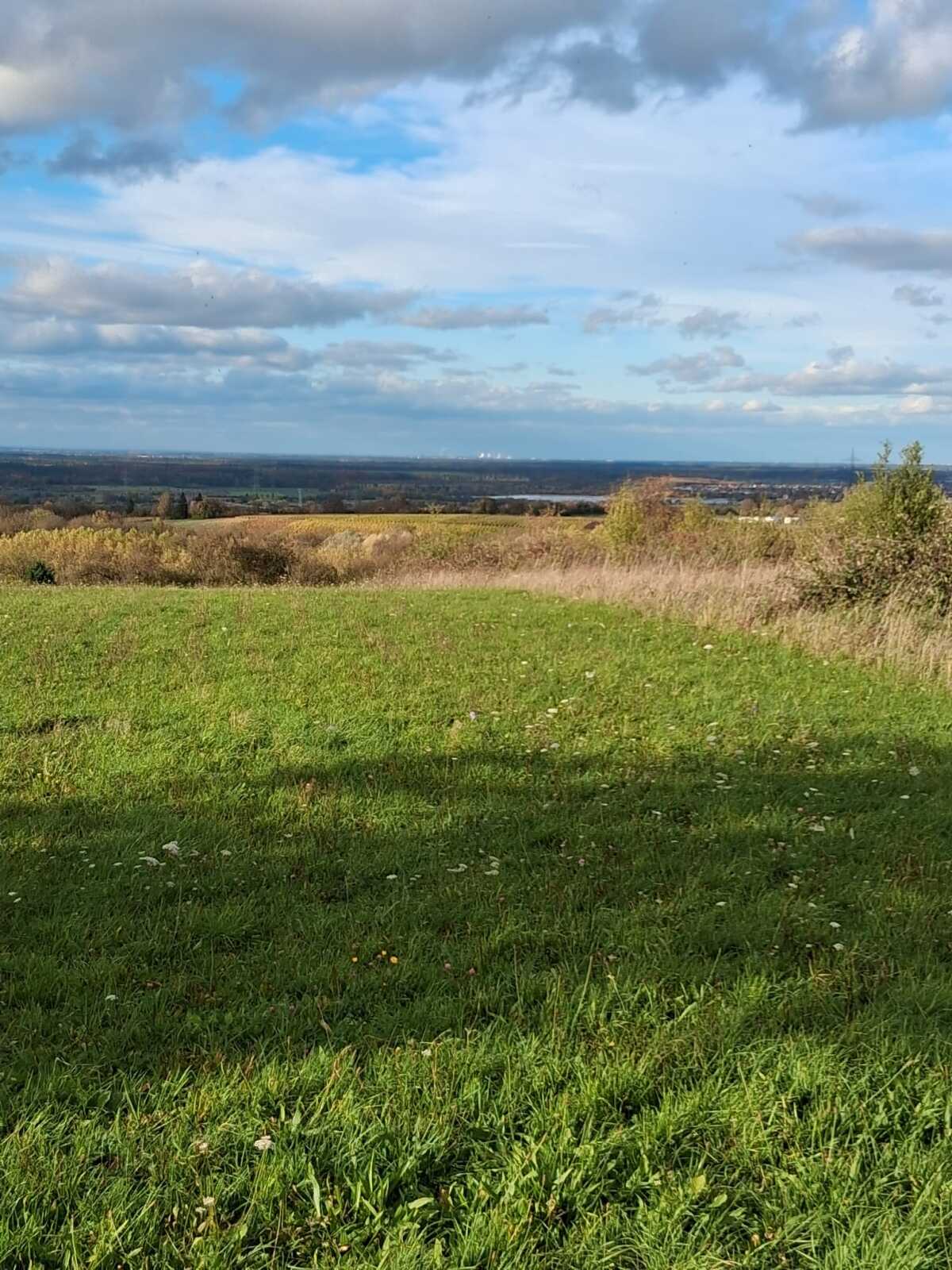 Ausblick Richtung Pfalz