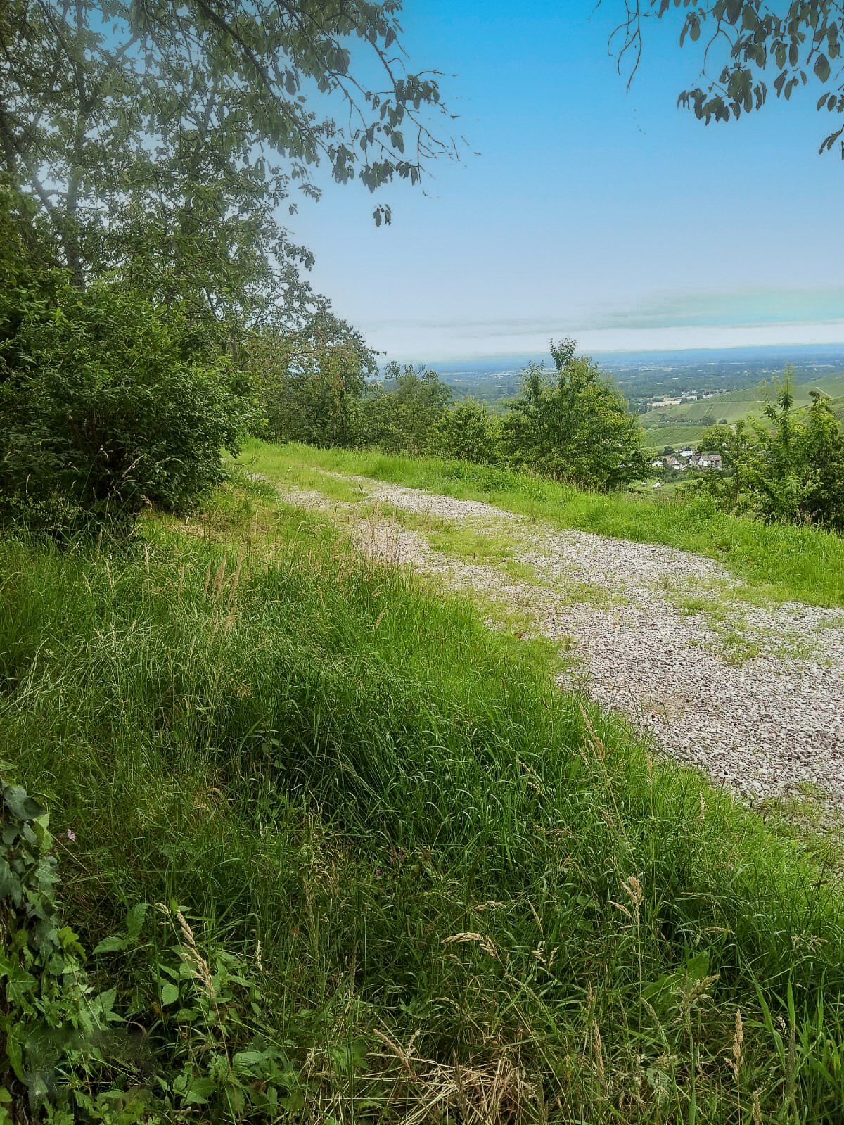 wfbeV1vsGa81zQYiIoDFS0a1U7wL6A-metaV2hhdHNBcHAgSW1hZ2UgMjAyNC0wNi0xNCBhdCAxNy4xNi4wNyAoNCkuanBlZw--large-2