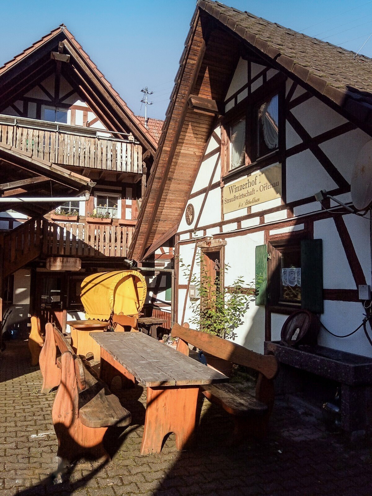 IMG_20240714_075721_692-large-2-2