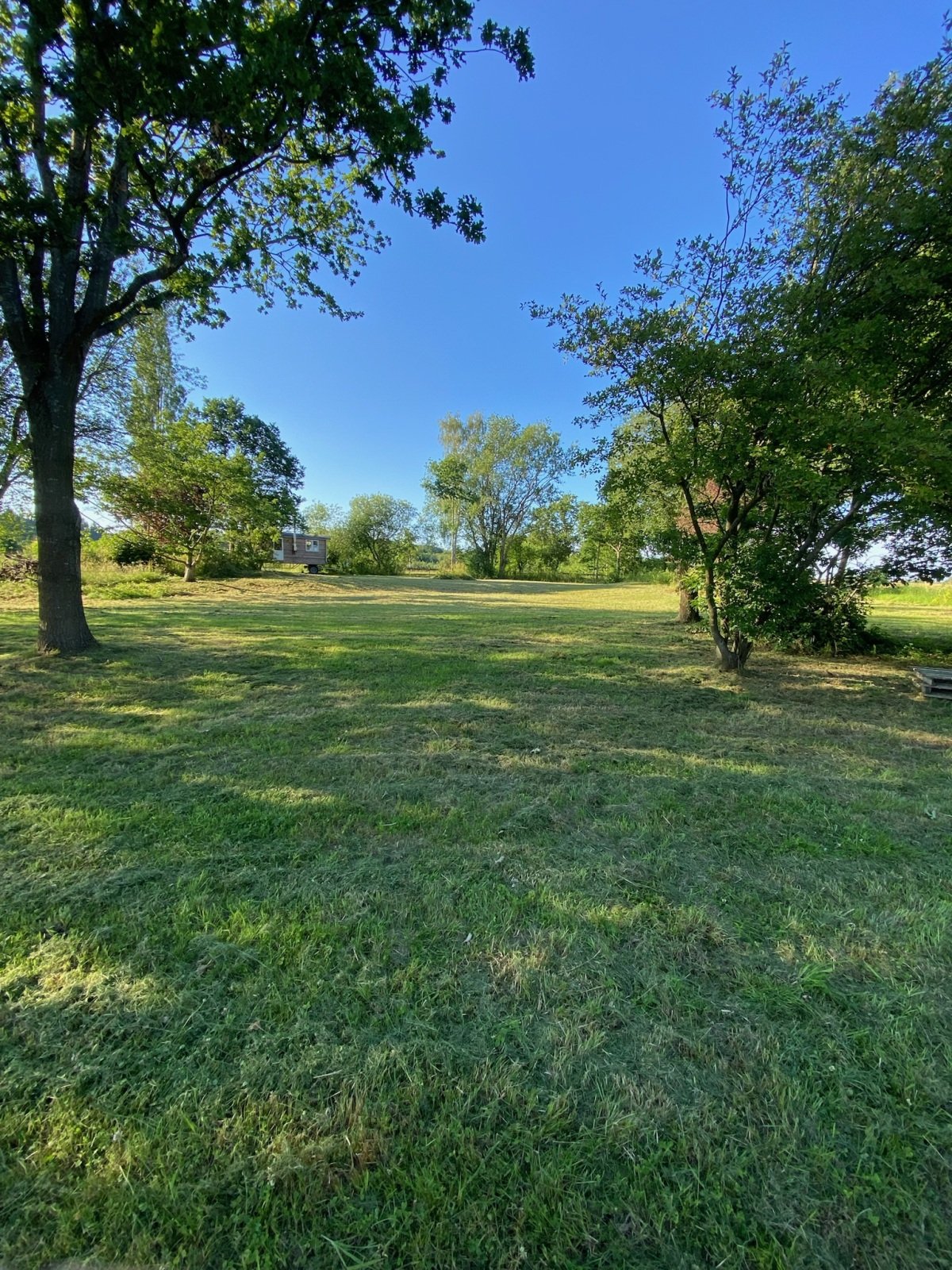 Weitläufige Wiese zum Campen