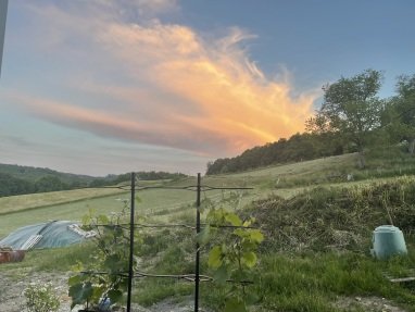 Foto von unserem Grundstück 