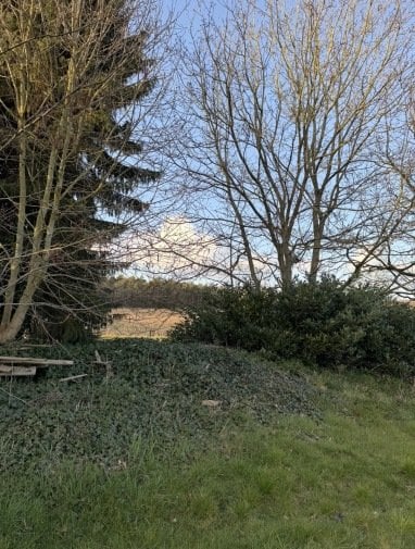 Schattiges Plätzchen 