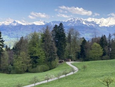 Blick auf den Stellplatz