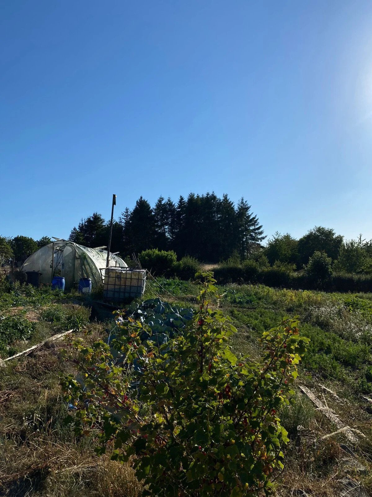 1658478816_WhatsApp_Image_2022-07-22_at_10.07.33-large