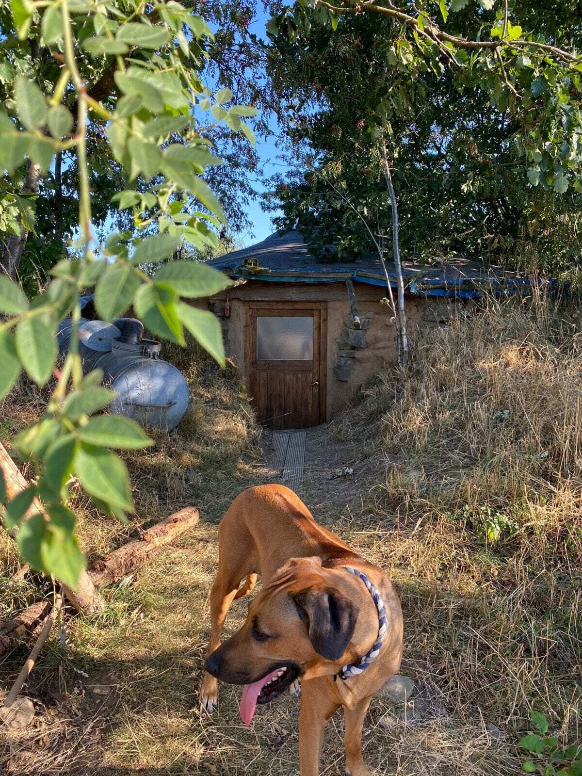 1658480886_ID_1978_4-large