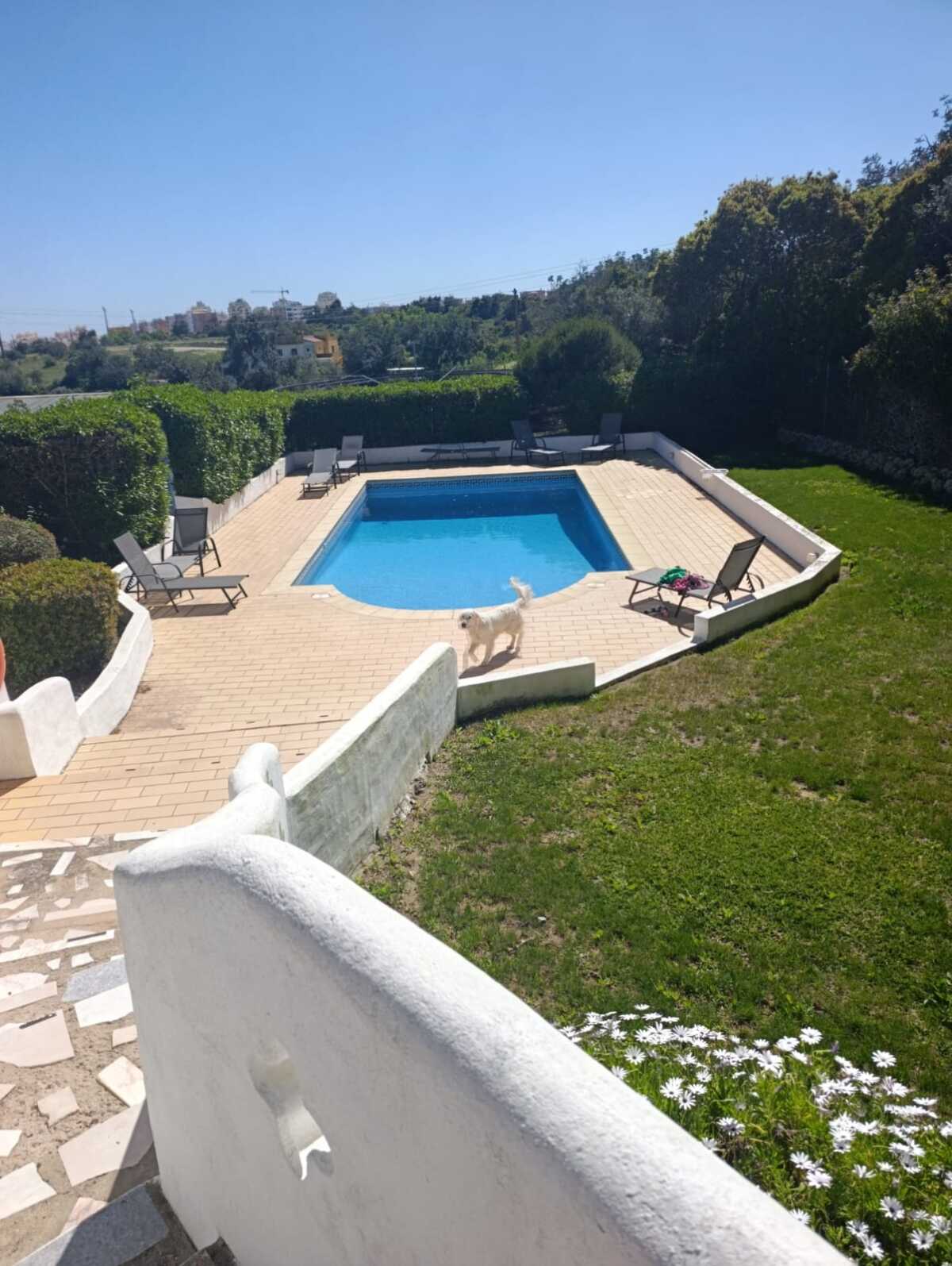 WhatsApp Image 2026-04-01 at 17.02.29 (1)