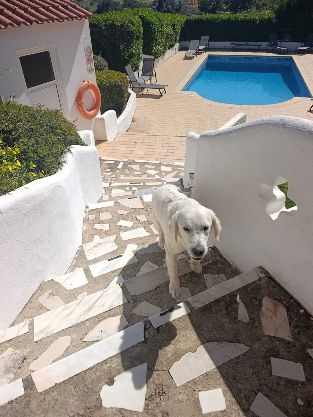 WhatsApp Image 2026-04-01 at 17.02.29 (2)