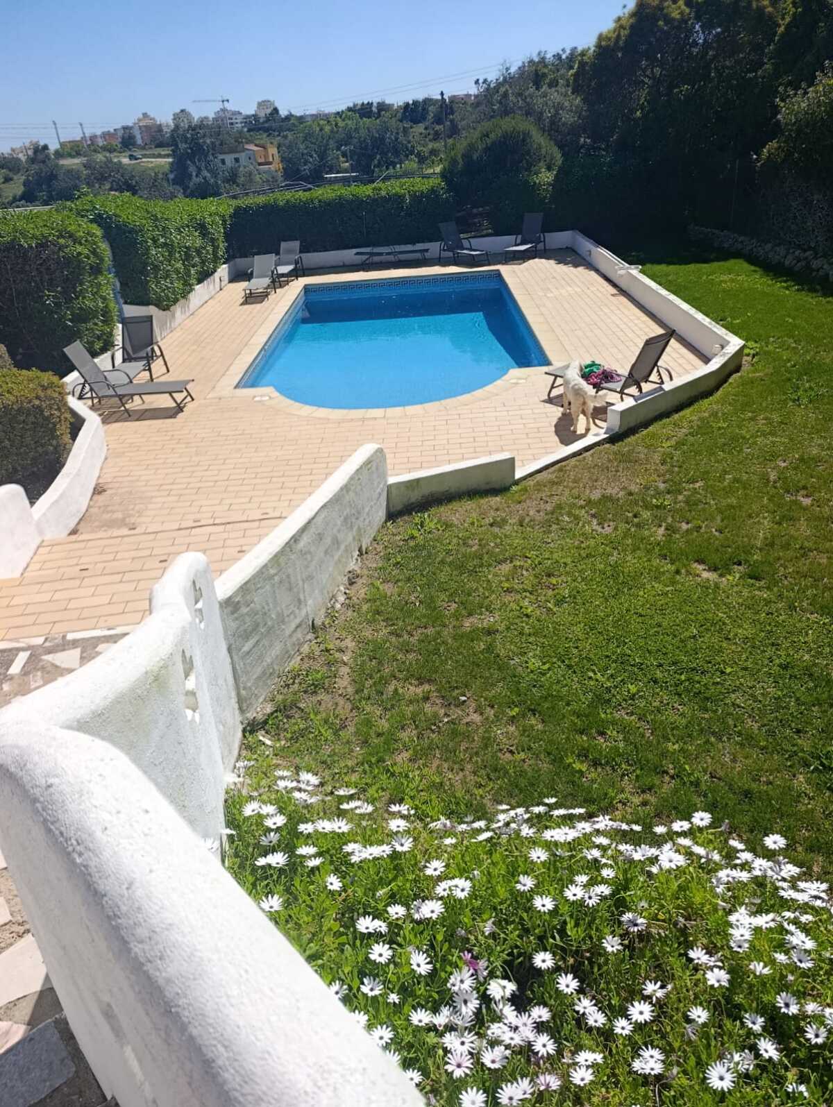 WhatsApp Image 2026-04-01 at 17.02.28 (4)