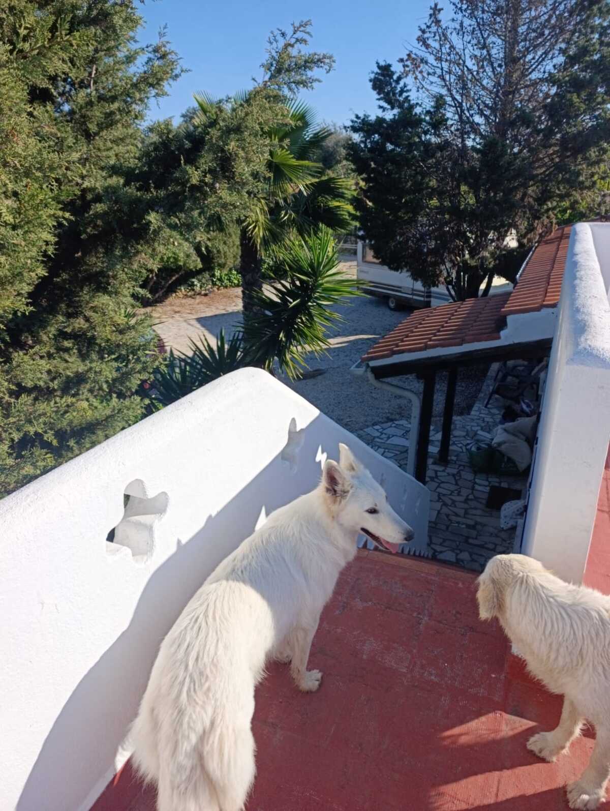 WhatsApp Image 2026-04-02 at 10.28.50 (3)