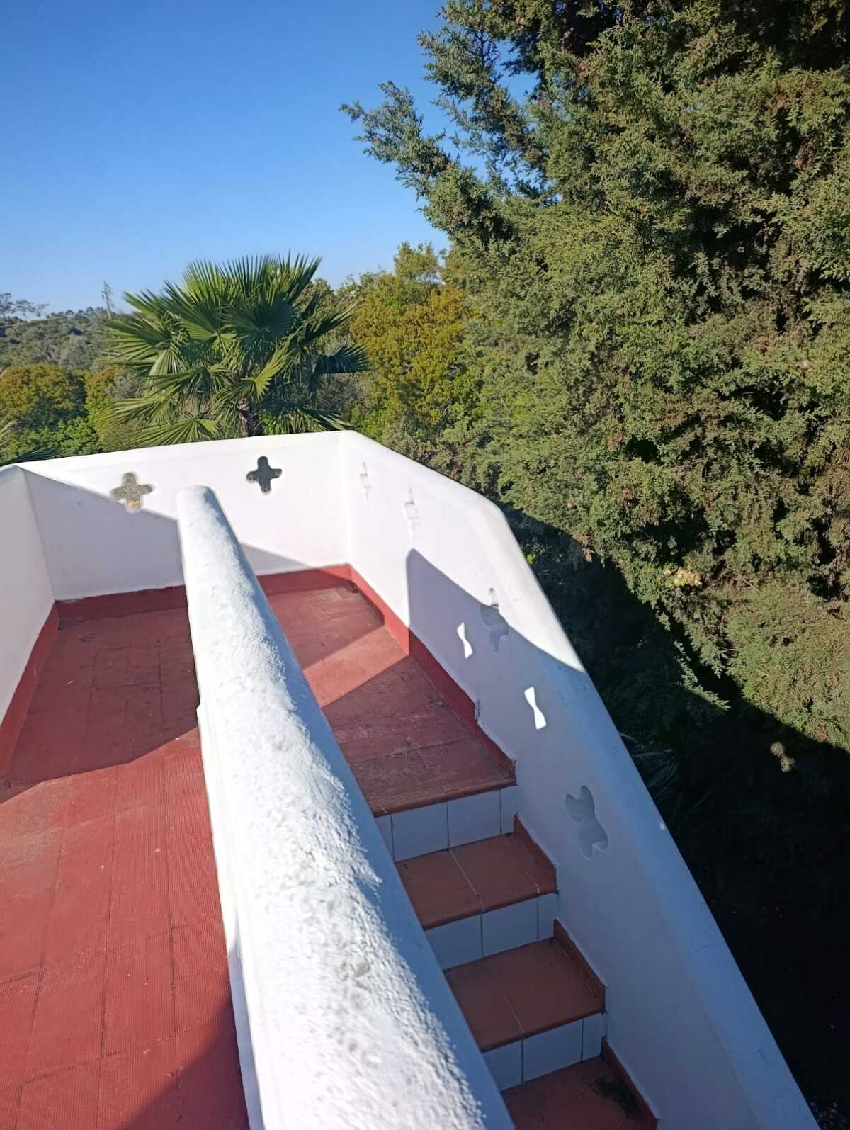 WhatsApp Image 2026-04-02 at 10.28.50 (1)