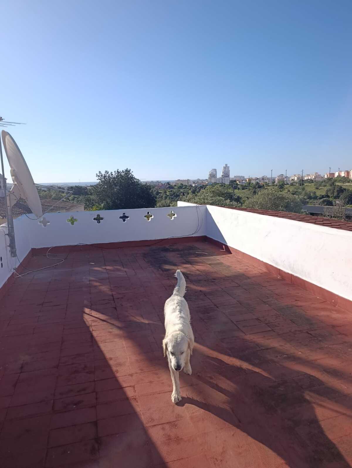 WhatsApp Image 2026-04-02 at 10.28.49 (3)