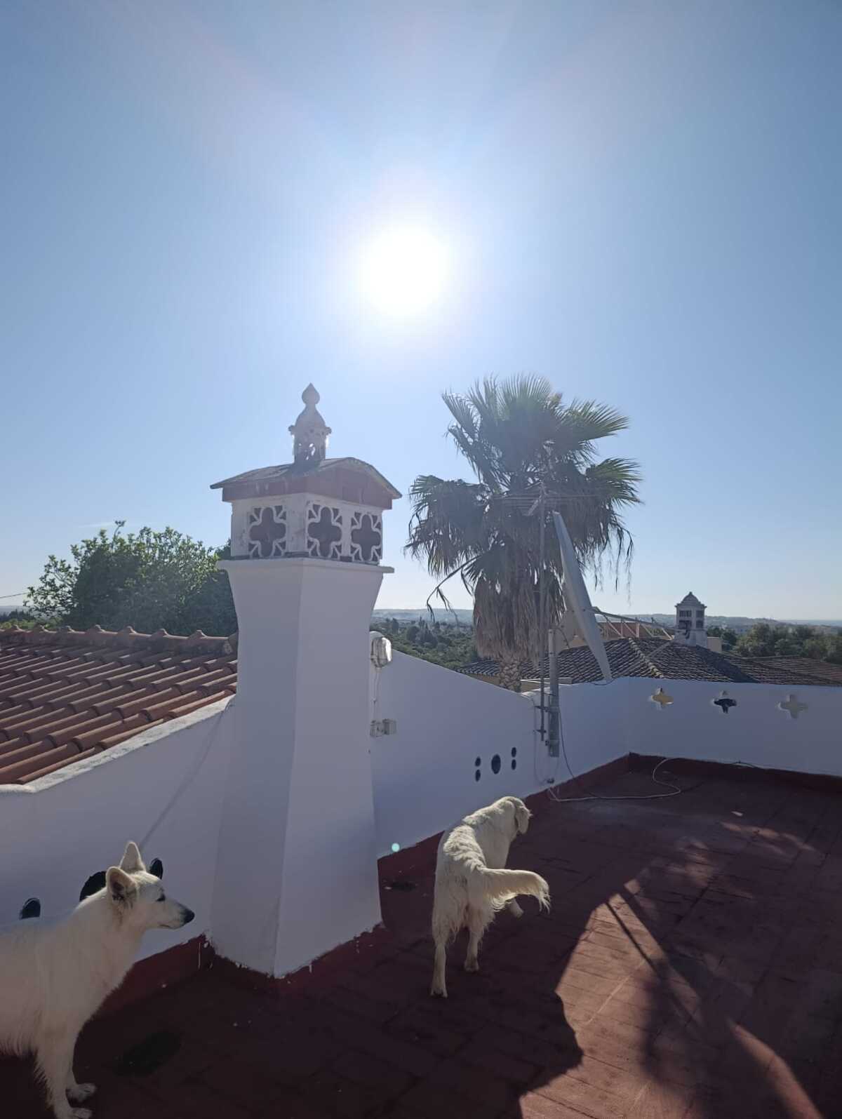 WhatsApp Image 2026-04-02 at 10.28.49 (2)