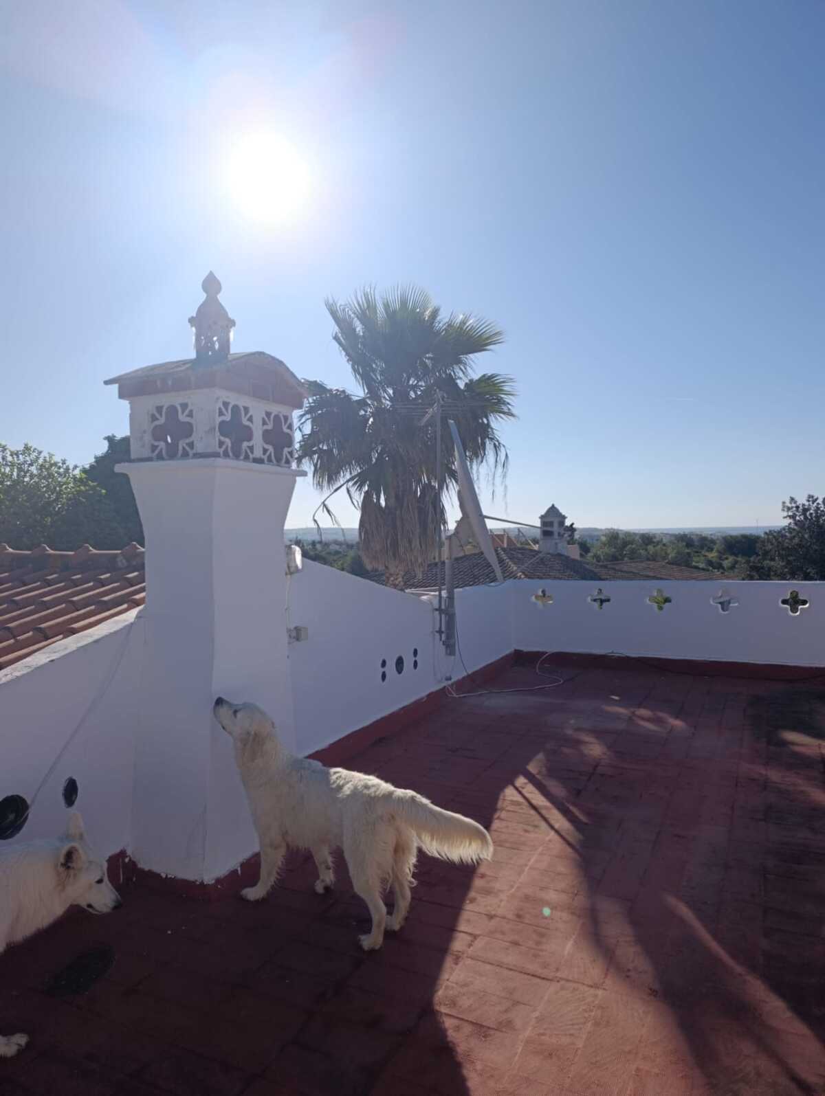 WhatsApp Image 2026-04-02 at 10.28.49 (1)