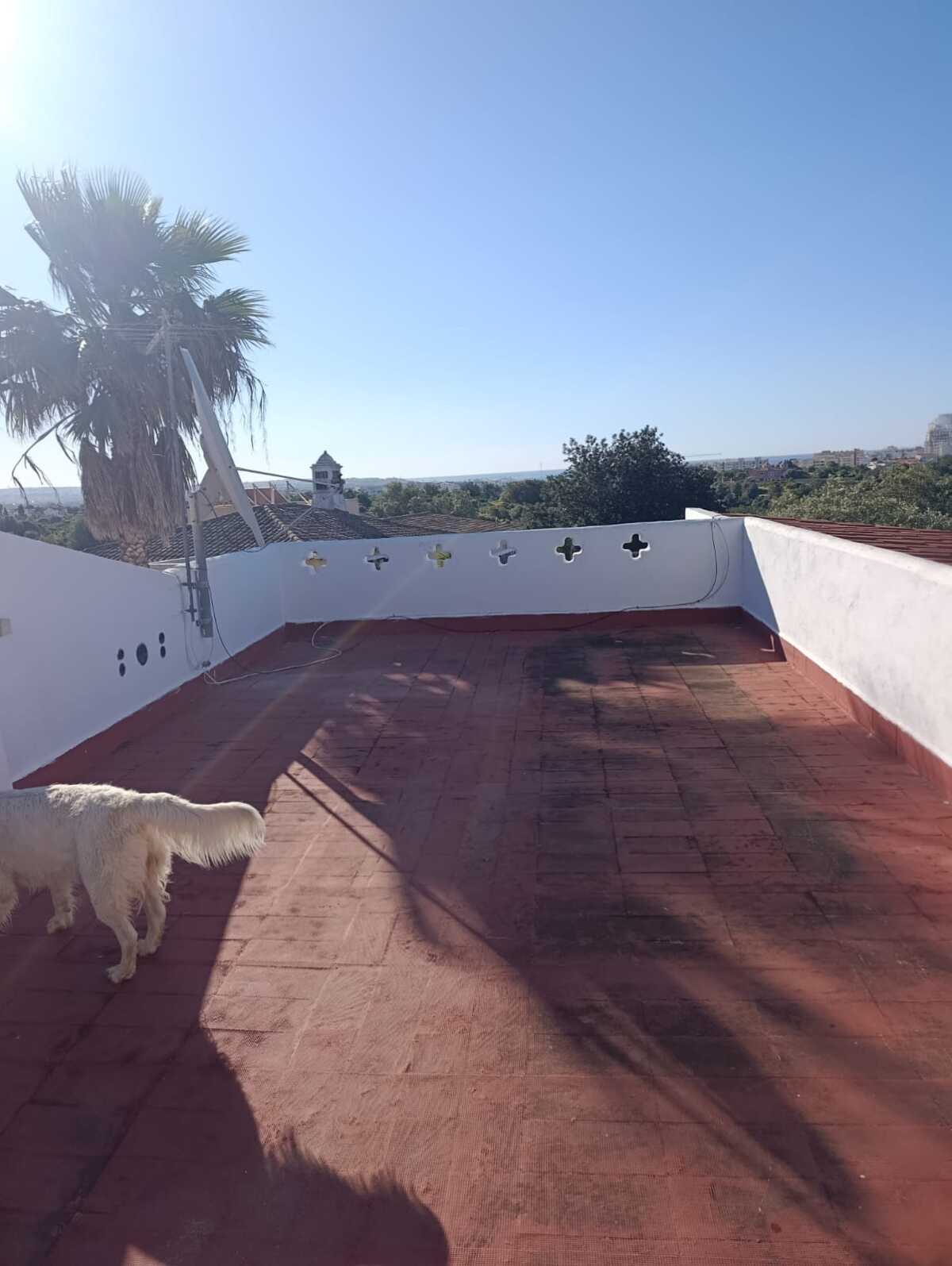 WhatsApp Image 2026-04-02 at 10.28.49