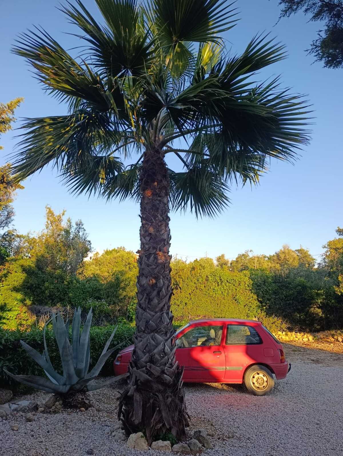 WhatsApp Image 2026-04-02 at 10.28.48 (2)