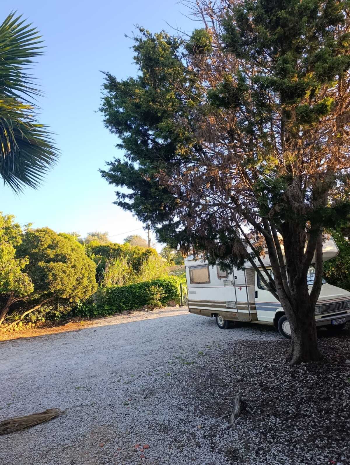 WhatsApp Image 2026-04-02 at 10.28.48