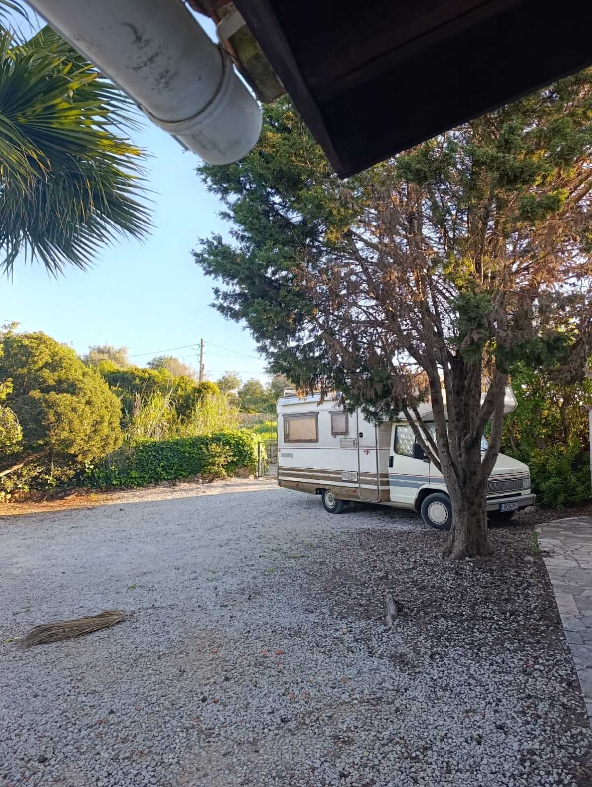 WhatsApp Image 2026-04-02 at 10.28.46