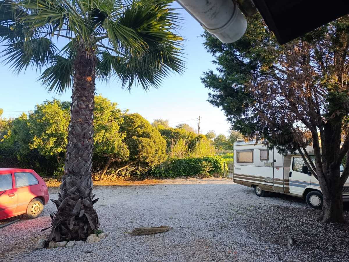 WhatsApp Image 2026-04-02 at 10.28.47