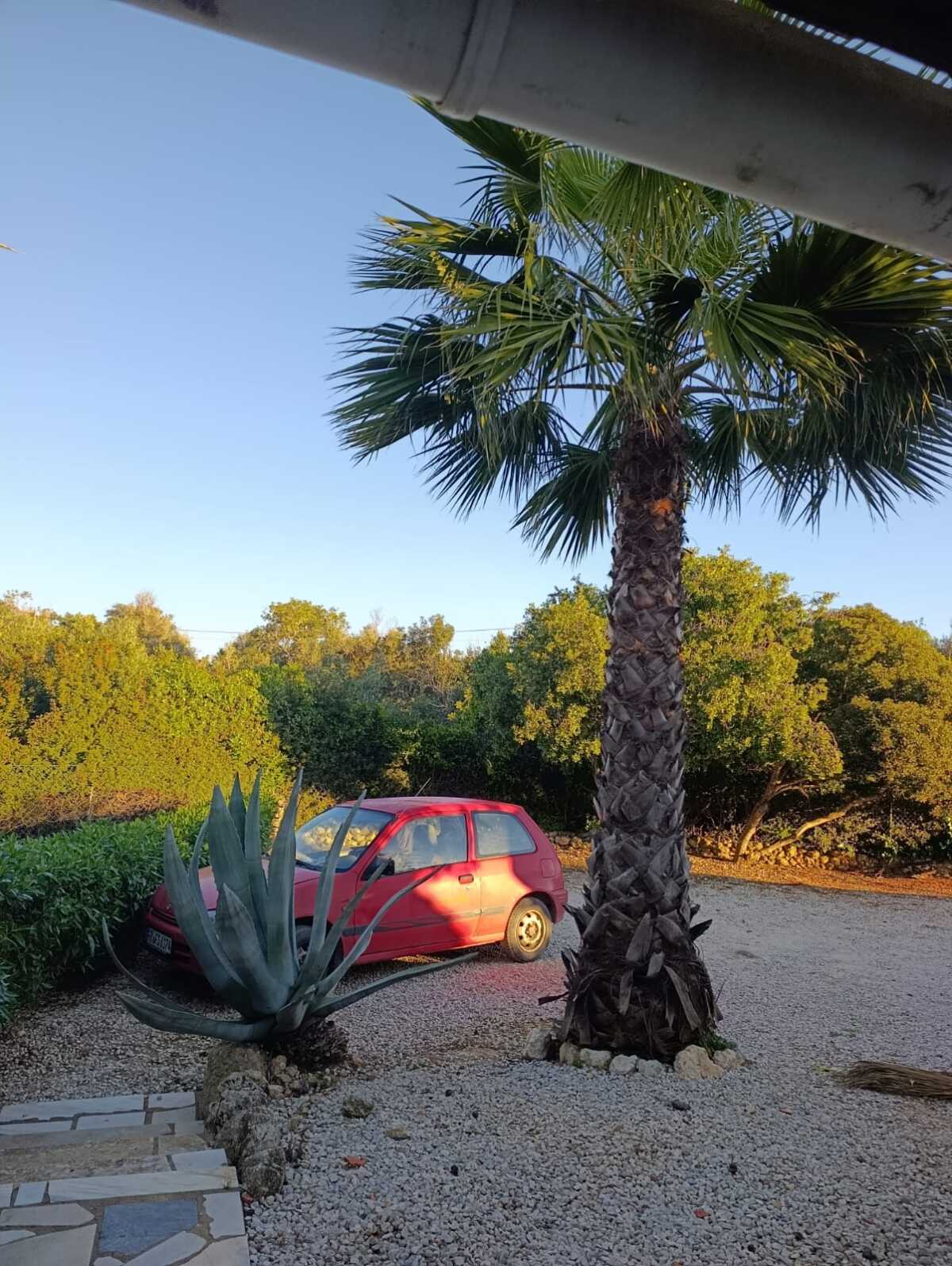 WhatsApp Image 2026-04-02 at 10.28.45 (1)