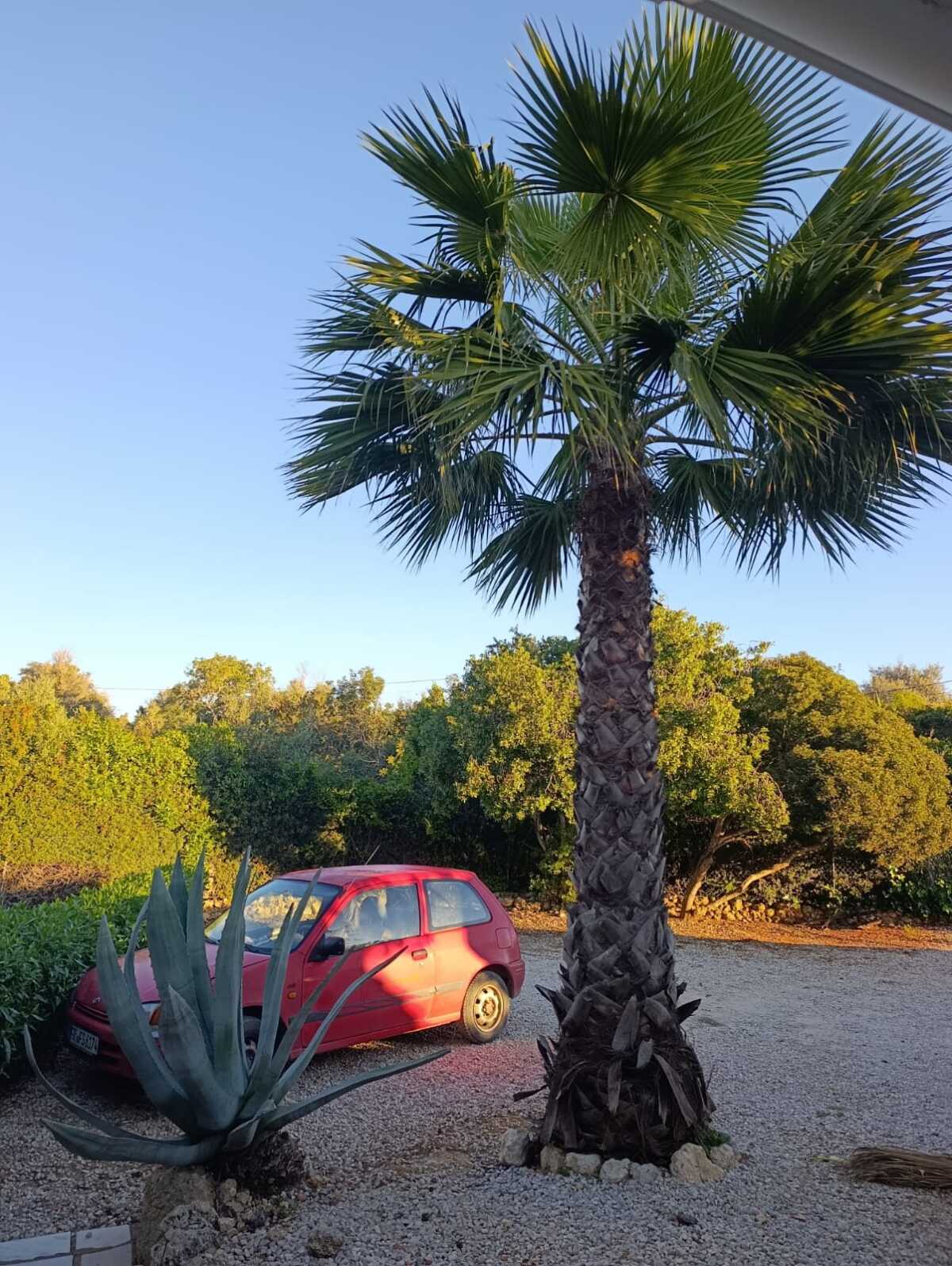 WhatsApp Image 2026-04-02 at 10.28.45