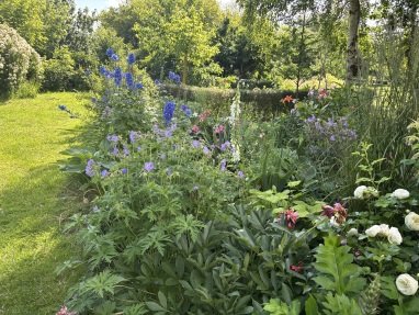 1000qm Garten zum Entspannen