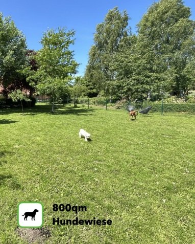 800qm eingezäunte Hundewiese für die Vierbeiner