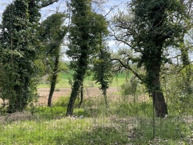 Aussicht Richtung Süden