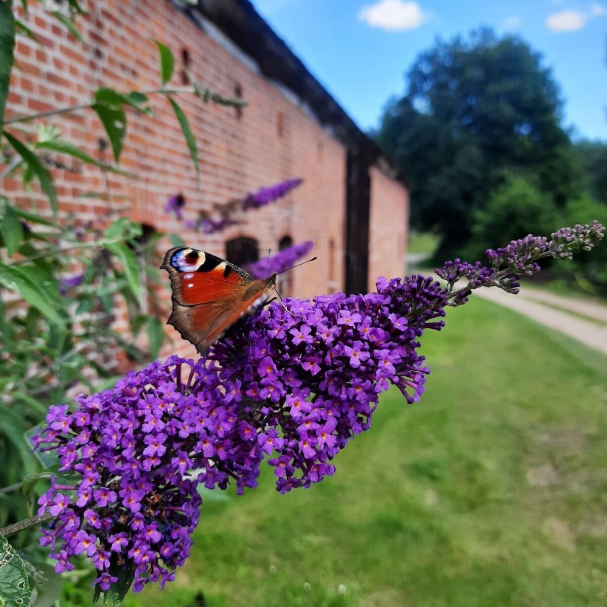 Blick die Straße runter.jpg
