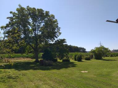 Obstgarten