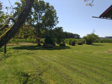 Obstgarten