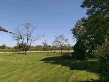 Obstgarten