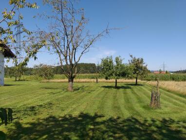 Obstgarten