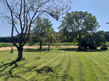 Obstgarten