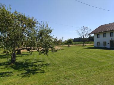 Obstgarten