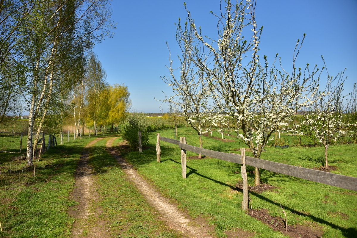 AAP_8835.JPG