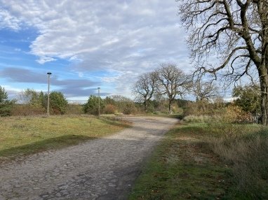 Auch neben der Kastanie ist ein nettes Plätzchen zum Zelten. Wenn Ihr ein Dachzelt habt, stellt Ihr euer Auto einfach an die Seite oder in den Wendehammer.