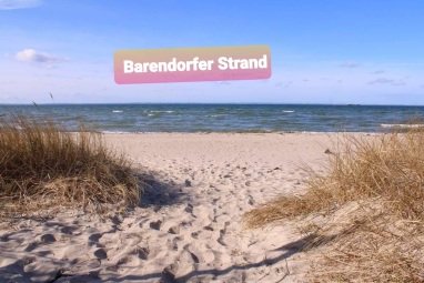 Hundestrand