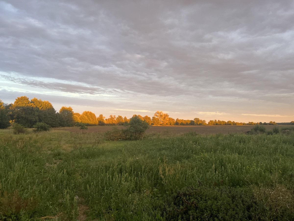IMG_9058.jpeg