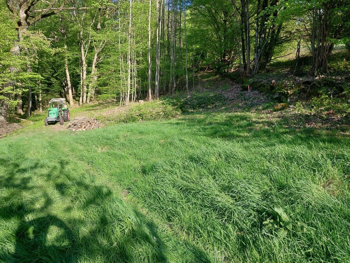 20260420_185516.jpg
