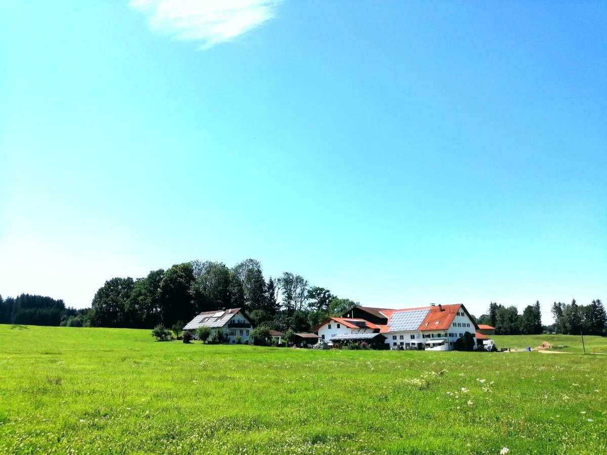 Unser BIO-Bauernhof mit Milchkühen