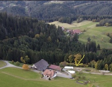 Platz am Waldrand