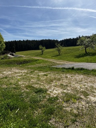 Blick vom Platz
